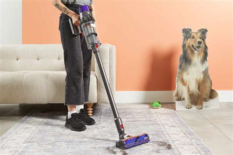 best vacuum for pet hair 2019|The 7 Best Vacuums For Pet Hair .